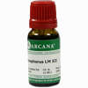 Phosphorus Arca Lm 12 10 ml - ab 10,28 €