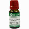 Phosphorus Arca Lm 18 10 ml - ab 10,28 €