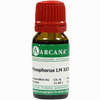 Phosphorus Arca Lm 24 10 ml - ab 10,92 €