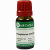 Phosphorus Arca Lm 30 10 ml - ab 11,52 €