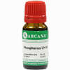 Phosphorus Arca Lm 6 10 ml - ab 9,64 €
