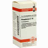 Phosphorus C10 Globuli 10 g - ab 6,37 €