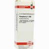 Phosphorus C200 Dilution 20 ml - ab 12,74 €