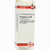 Phosphorus C200 Dilution 20 ml - ab 13,70 €