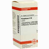 Phosphorus C30 Tabletten 80 Stück - ab 7,27 €