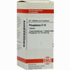 Phosphorus D10 Tabletten 80 Stück - ab 9,05 €