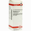 Phosphorus D12 Dilution Dhu-arzneimittel 20 ml - ab 7,21 €
