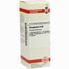 Phosphorus D30 Dilution 20 ml - ab 8,23 €