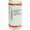 Phosphorus D6 Dilution DHU-Arzneimittel 20 ml - ab 7,84 €