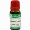 Phytolacca Arca Lm 18 10 ml - ab 13,30 €