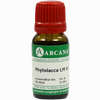 Phytolacca Arca Lm 6 10 ml - ab 7,57 €