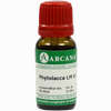 Phytolacca Arca Lm 6 10 ml - ab 9,64 €