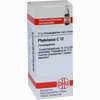 Phytolacca C12 Globuli 10 g - ab 6,23 €