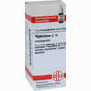 Phytolacca C12 Globuli 10 g - ab 6,98 €
