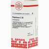 Phytolacca C30 Globuli 10 g - ab 6,68 €
