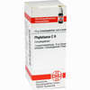 Phytolacca C6 Globuli 10 g - ab 6,98 €