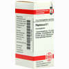 Phytolacca D1 Globuli 10 g - ab 6,98 €