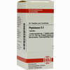 Phytolacca D3 Tabletten 80 Stück - ab 0,00 €
