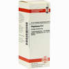 Phytolacca D4 Dilution 20 ml - ab 7,84 €