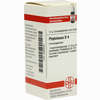 Phytolacca D4 Globuli 10 g - ab 6,98 €