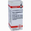 Piper Methysticum D12 Globuli Dhu-arzneimittel 10 g - ab 7,00 €