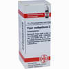 Piper Methysticum D12 Globuli DHU-Arzneimittel 10 g - ab 7,55 €
