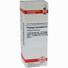 Plantago Lanceol D3 Dilution 20 ml - ab 0,00 €