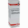 Plantago Lanceol Urtinktur Dilution 20 ml - ab 0,00 €