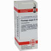 Plantago Major D12 Globuli 10 g - ab 6,89 €