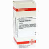 Plantago Major D2 Tabletten 80 Stück - ab 11,99 €