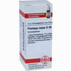 Plantago Major D30 Globuli 10 g - ab 7,96 €