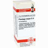 Plantago Major D4 Globuli 10 g - ab 7,82 €