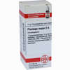 Plantago Major D6 Globuli 10 g - ab 6,81 €