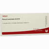 Plexus Brachialis Gl D15 Ampullen 10 x 1 ml - ab 19,41 €