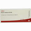 Plexus Coeliacus Gl D30 Ampullen 10 x 1 ml - ab 21,92 €