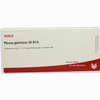 Plexus Gastricus Gl D15 Ampullen 10 x 1 ml - ab 19,41 €