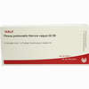 Plexus Pul (ner Va) Gl D8 Ampullen 10 x 1 ml - ab 19,41 €