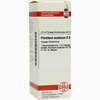 Plumbum Acet D6 Dilution 20 ml - ab 8,69 €
