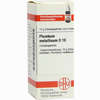 Plumbum Met D10 Globuli 10 g - ab 7,55 €