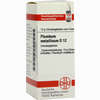 Plumbum Met D12 Globuli 10 g - ab 7,55 €