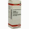 Plumbum Met D6 Dilution 20 ml - ab 8,69 €
