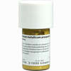 Plumbum Met Praep D 20 Trituration 20 g - ab 31,81 €