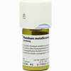 Plumbum Met Praep D6 Trituration 20 g - ab 22,65 €