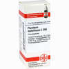 Plumbum Metallicum C200 Globuli  10 g - ab 12,97 €