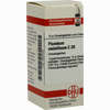 Plumbum Metallicum C30 Globuli  10 g - ab 8,01 €