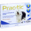 Prac- Tic für Große Hunde 22kg- 50kg Einzeldosispipetten 3 Stück - ab 46,17 €
