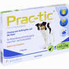 Prac- Tic für Kleine Hunde 4.5kg- 11kg Einzeldosispipetten 3 Stück - ab 0,00 €