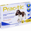 Prac- Tic für Mittlere Hunde 11kg- 22kg Einzeldosispipetten 3 Stück - ab 22,40 €