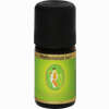 Primavera Pfefferminze Öl 5 ml - ab 4,57 €