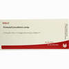 Primula/convallaria Comp Ampullen 10 x 1 ml - ab 19,41 €